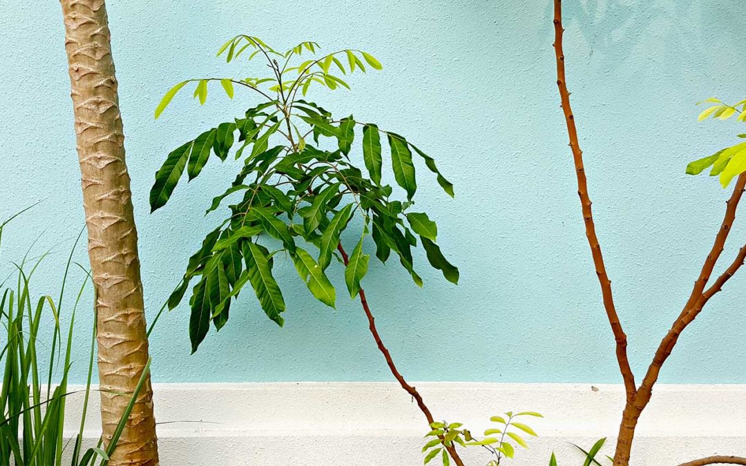 7 indispensables zéro-déchet et écologiques pour prendre soin de votre peau en hiver