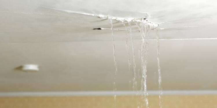 Fuites d’eau en copropriété : qui gère la situation ?