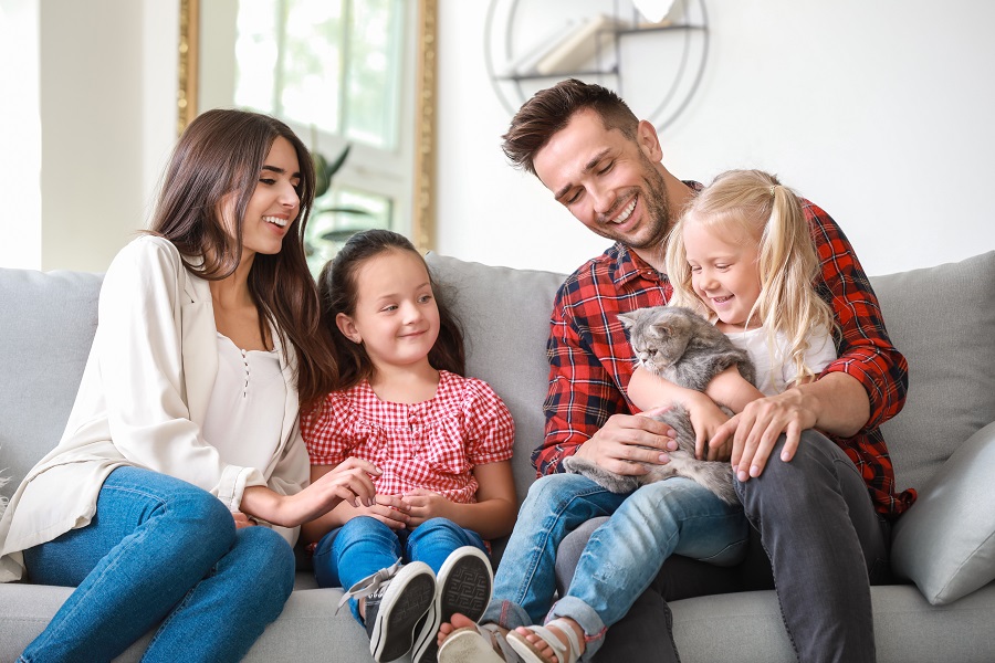 Famille : les avantages d’adopter un chat