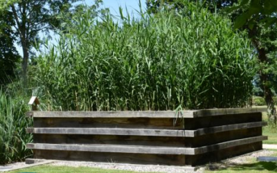 Tout ce qu’il faut savoir sur l’assainissement écologique