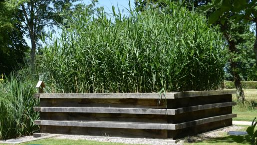 Tout ce qu’il faut savoir sur l’assainissement écologique