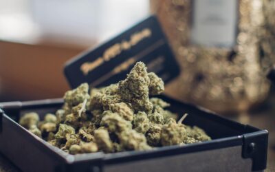 CBD Saintes : comment choisir des produits fiables et adaptés à vos besoins ?