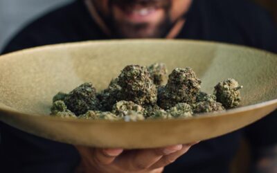 Comment choisir les meilleurs produits de CBD Royan pour une relaxation naturelle optimale ?