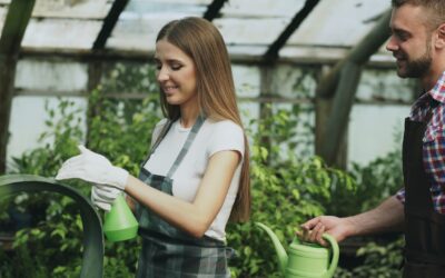 Ce qu&rsquo;il faut savoir pour préparer un jardin pour l&rsquo;été